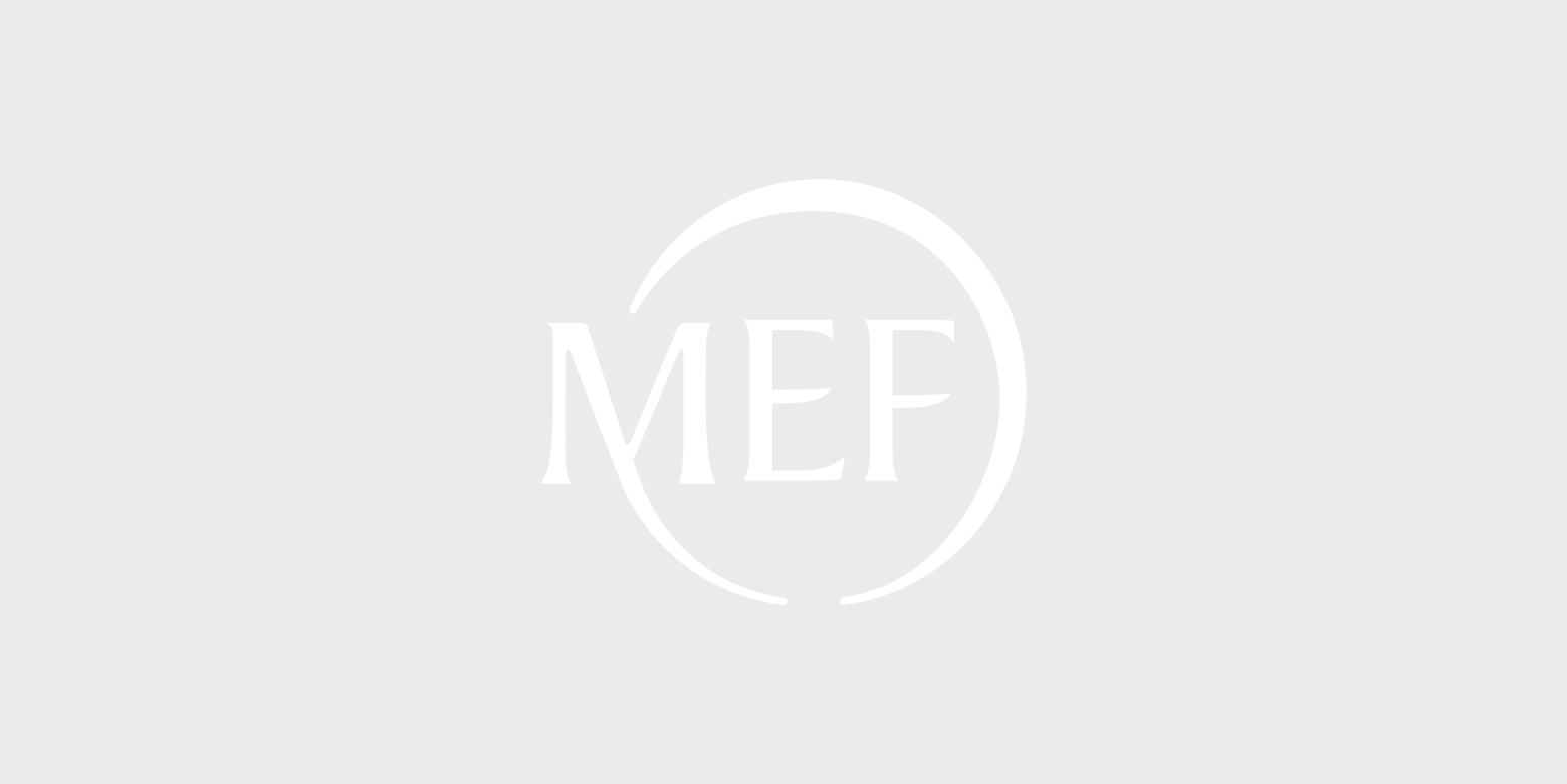 Logo Intranet MEF